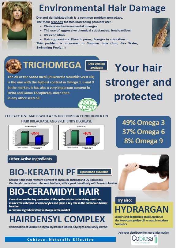 Environmental Hair Damage